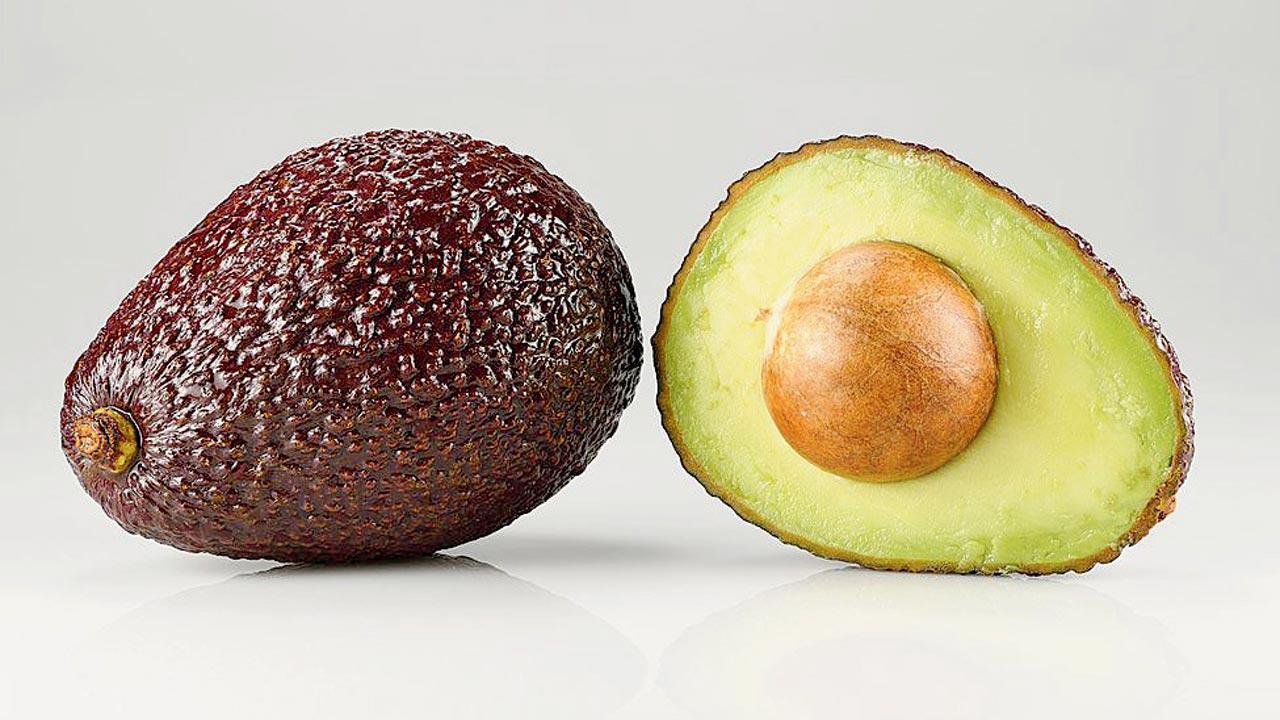 Avocado can assist in delaying ageing. Pic Courtesy/Wikimedia Commons 