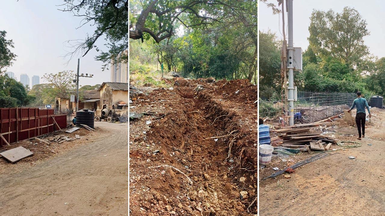 Mumbai: Boundary wall work begins in Aarey to protect forested area