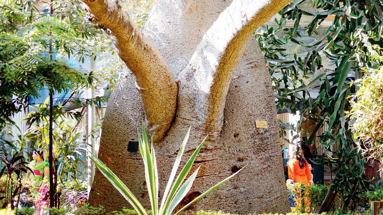 The zoo is home to rich flora and fauna. Pic courtesy/Wikimedia Commons