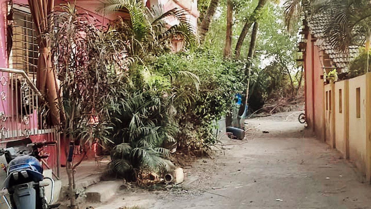 Virar's Chikhal Dongri residents say: A chowkie will curb the Khap