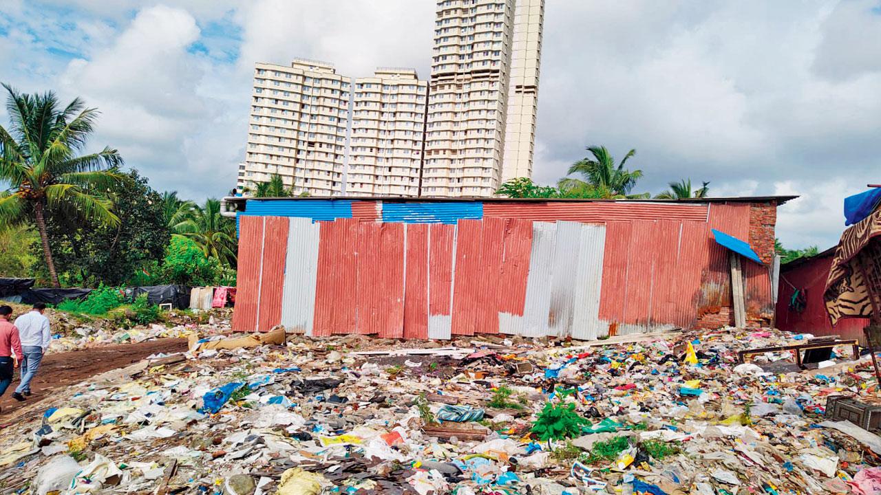 Garbage on illegally reclaimed land