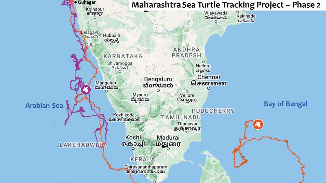 Maharashtra: Where did Guha and Bageshri go?