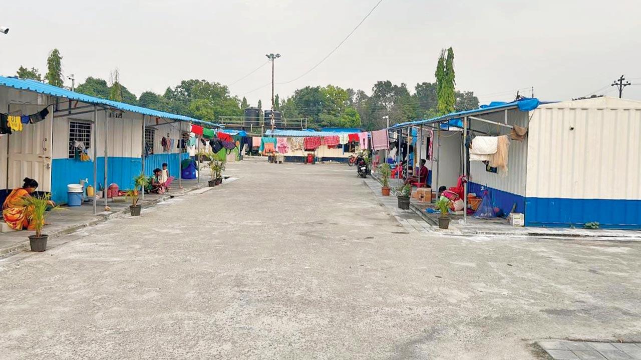 Makeshift containers where the survivors now live