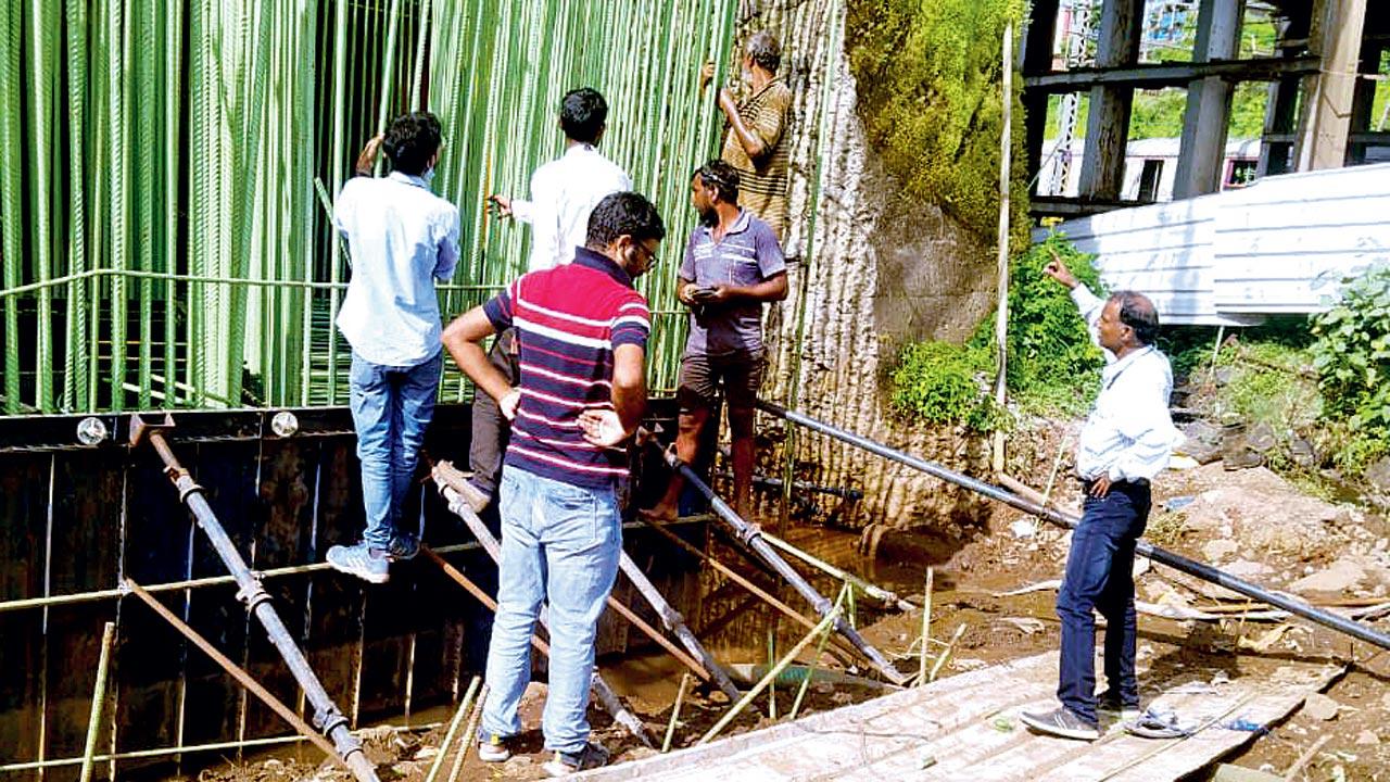 Construction work takes place along the proposed railway line