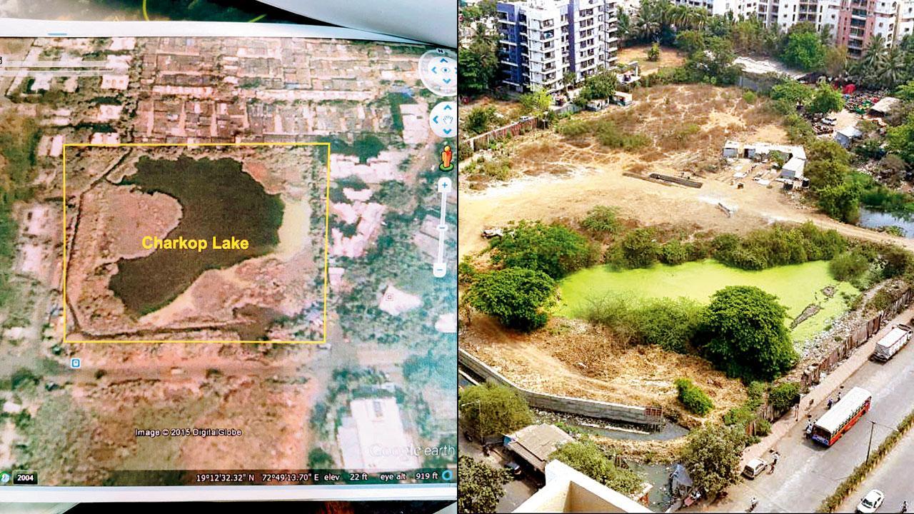 Mumbai: Is it now too late to save Charkop lake?