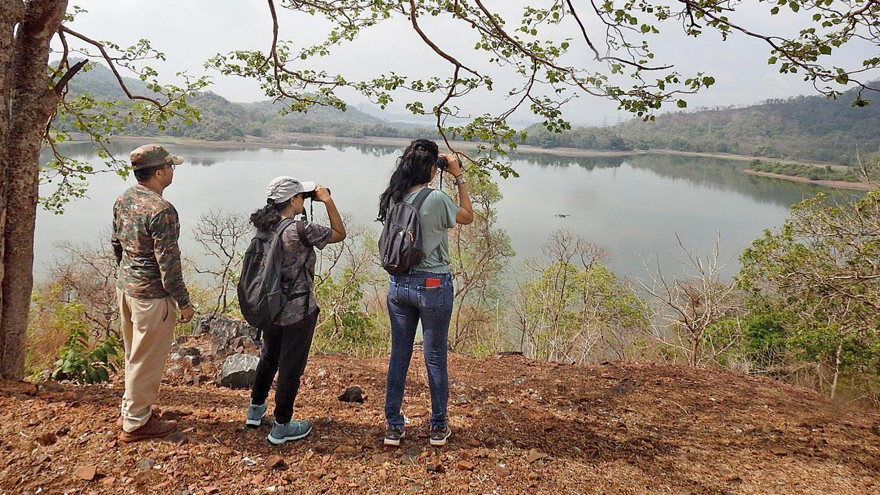 Bird watchers at a trail in Borivali. Pics Courtesy/Raju Kasambe