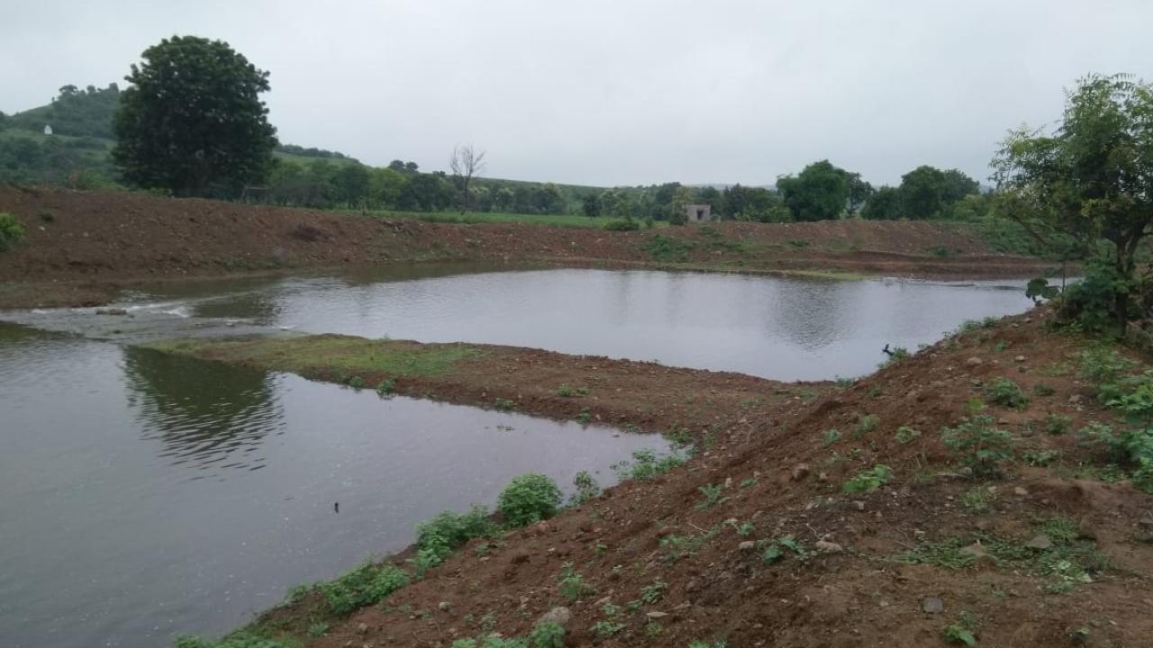 The local and national governments, as well as international organisations, play a critical role in providing assistance and implementing policies to mitigate the impact of water scarcity on farmers