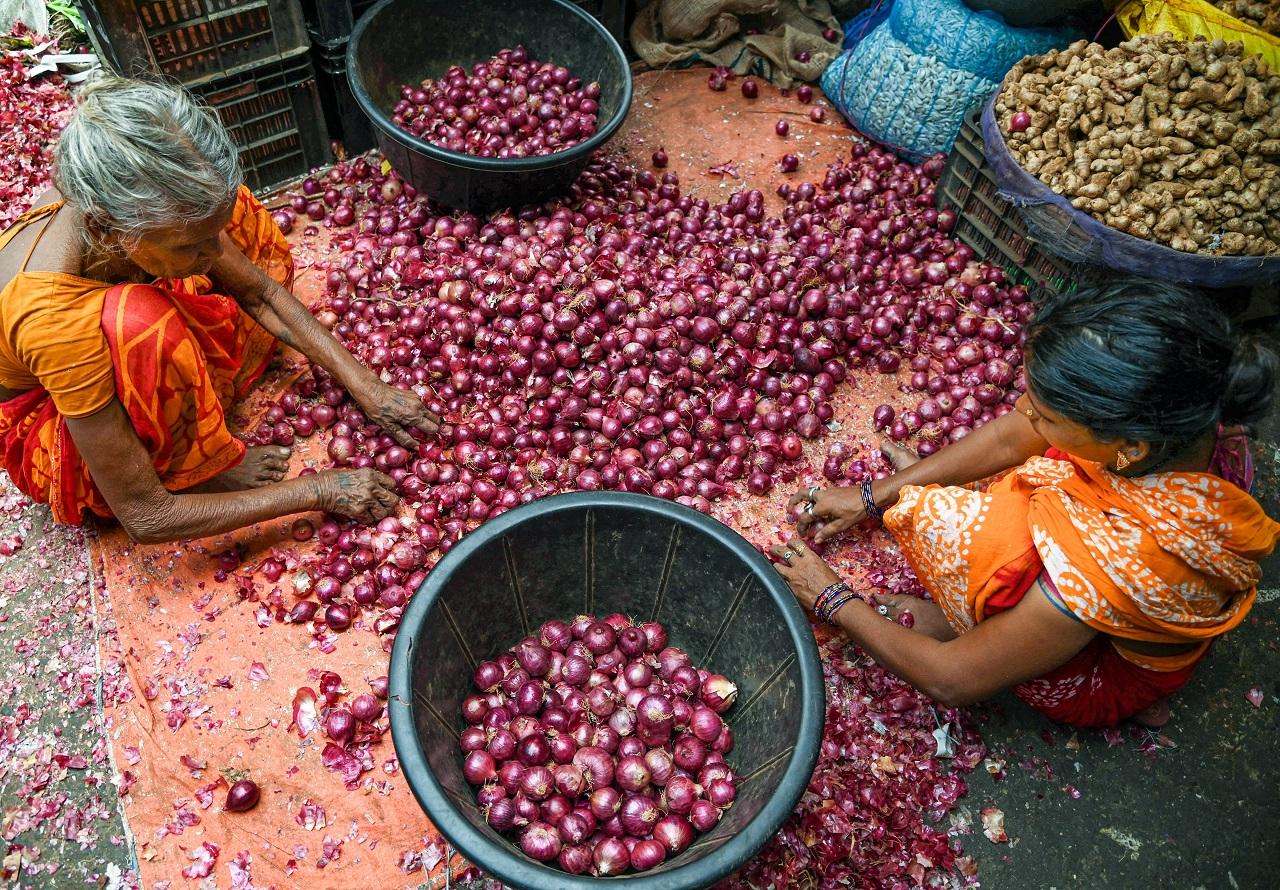 Government launches aggressive retail sale of onions at Rs 25 per kg