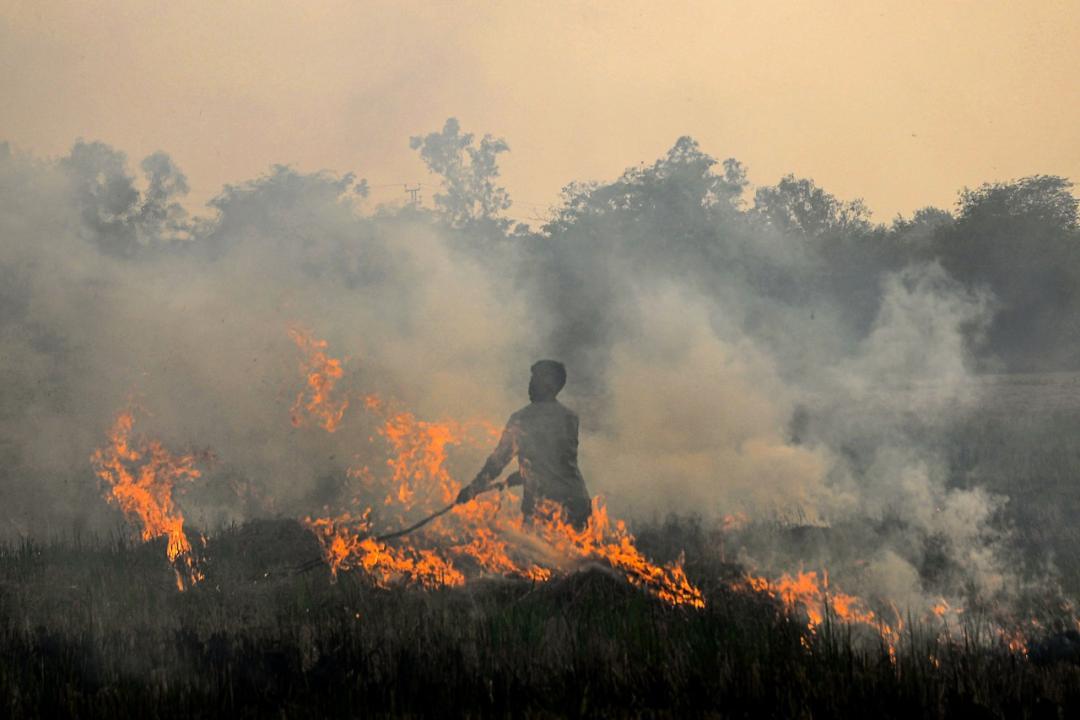 Punjab reports 2,060 farm fires; 'severe', 'very poor' AQI in parts of Haryana