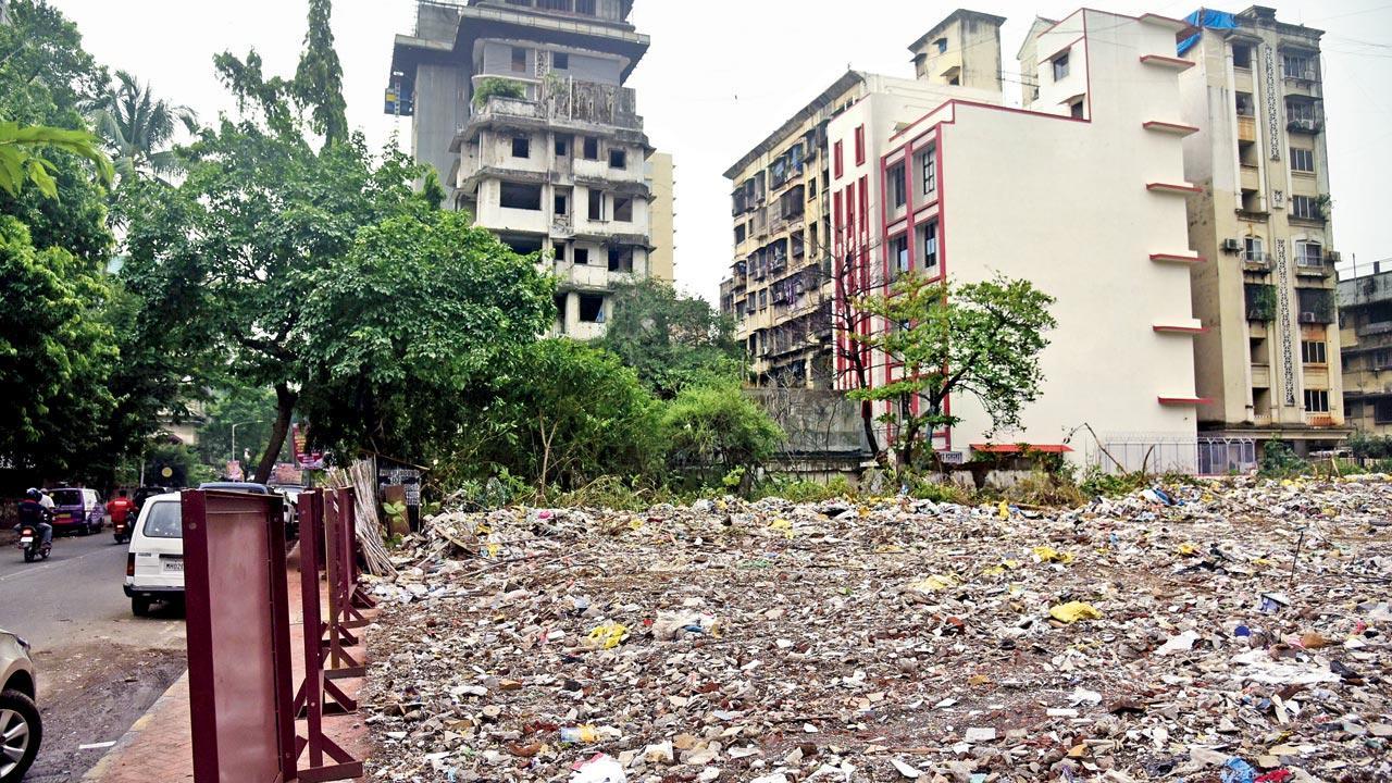 Mumbai: Pali Hill plot, used as dump, cleaned up