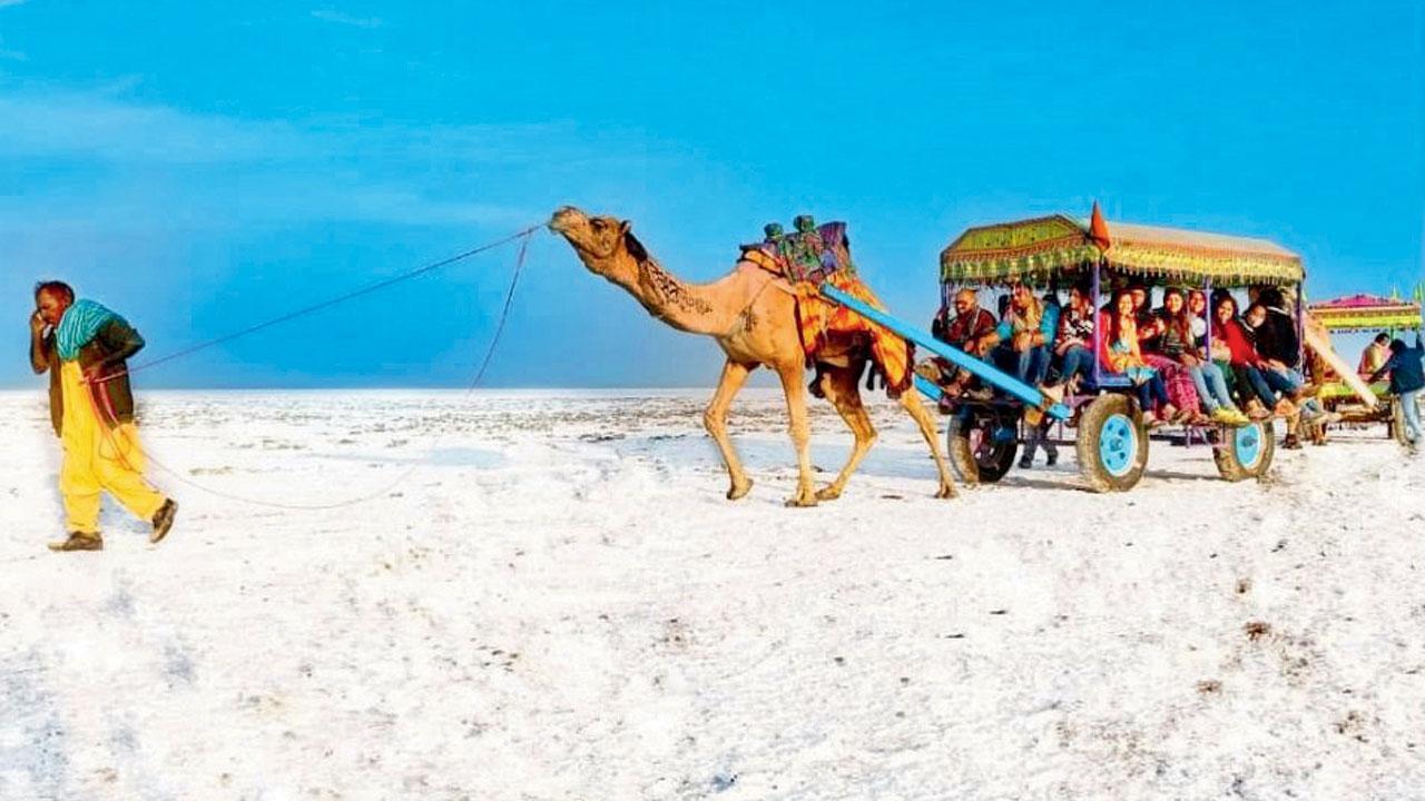 From camping to trekking: Here are 3 trips to sign up for