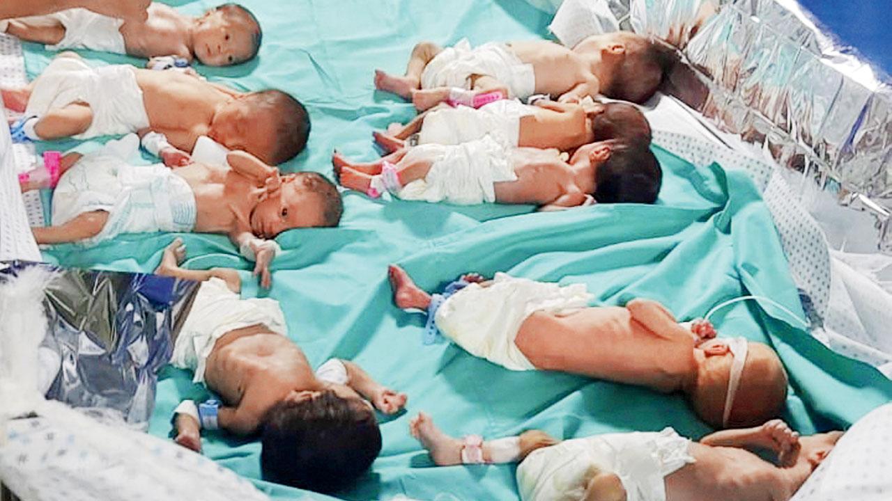 Prematurely born Palestinian babies in Shifa Hospital. Pic/AP