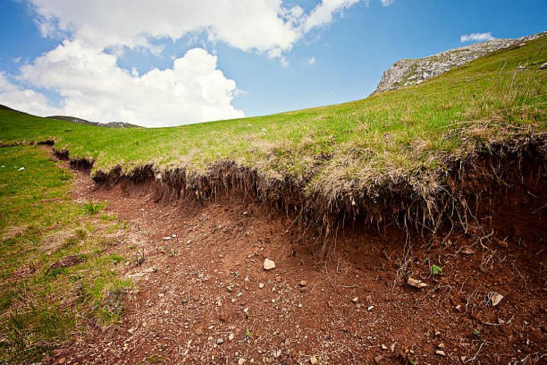 Soil erosion in Western Ghats increased 94 pc between 1990 to 2020: IIT study