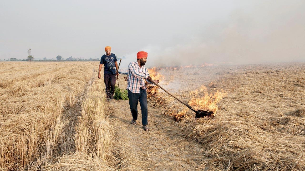 Farmer leaders blame Centre, state for row over stubble