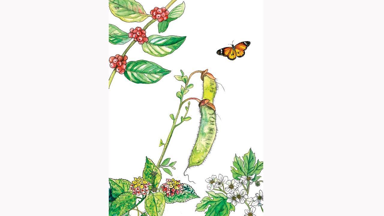 A new book delves upon alien plant species that have survived in Peninsular India