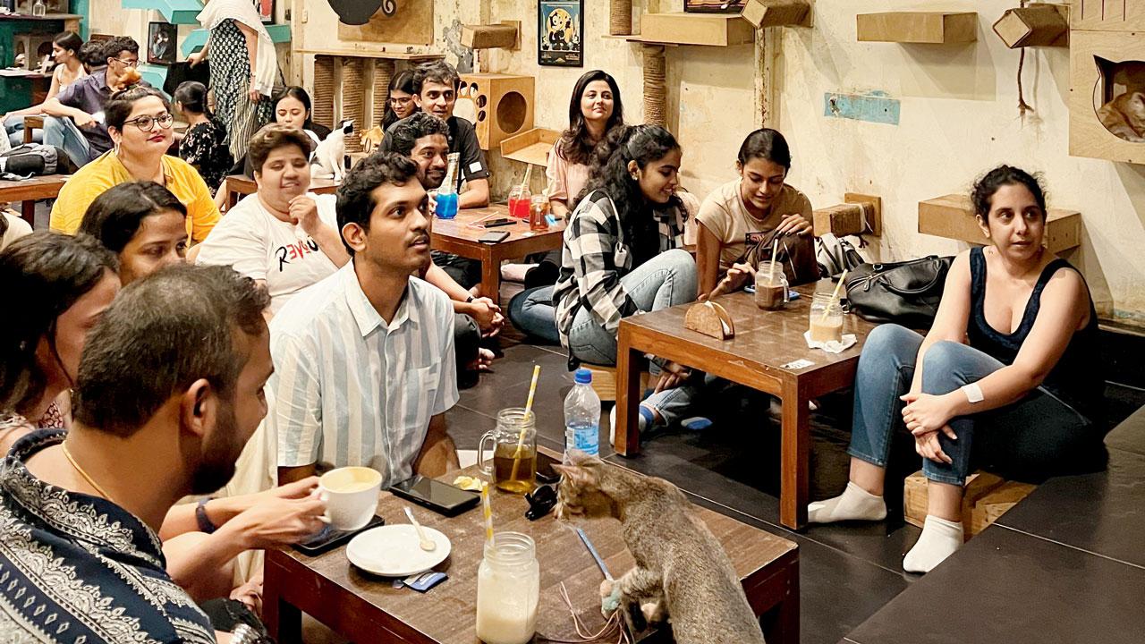 Participants at the café during a previous trivia event