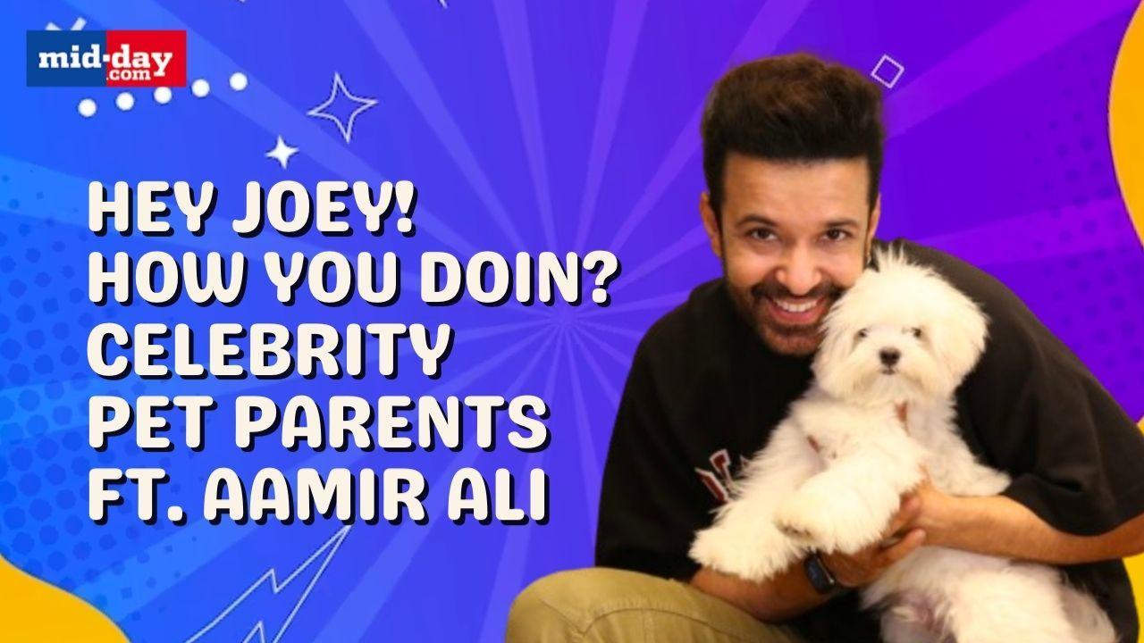 Hey Joey! How You Doin? Celebrity Pet Parents Ft. Aamir Ali