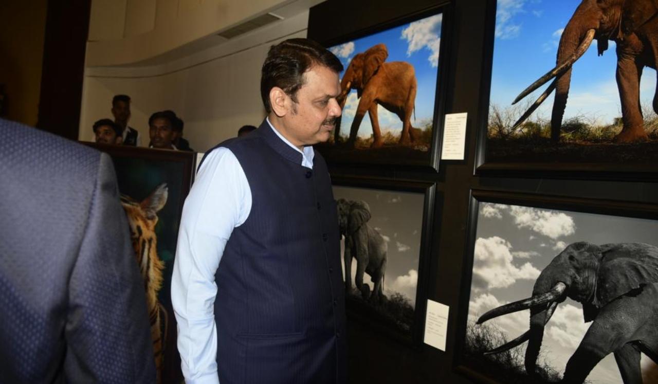 The non-profit organisation exists to provide a platform for individuals who want to contribute to wildlife conservation