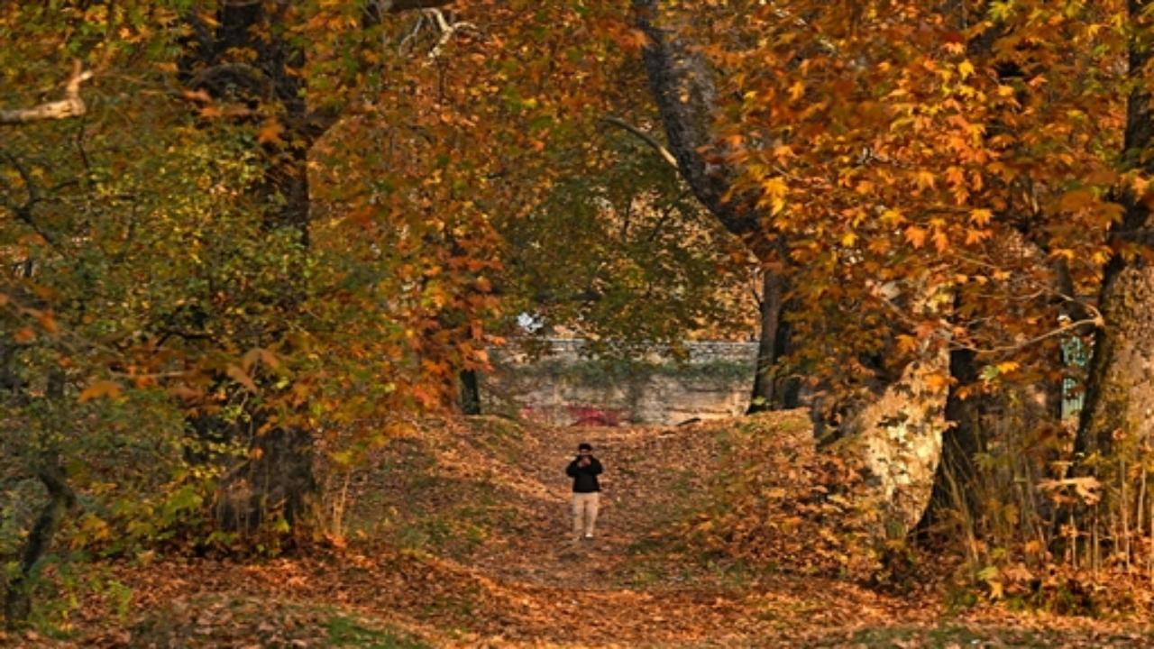 Whether it's a private shikara ride on the tranquil waters or a quiet retreat to a charming houseboat, Kashmir in autumn offers an intimate escape for those in search of love and tranquility