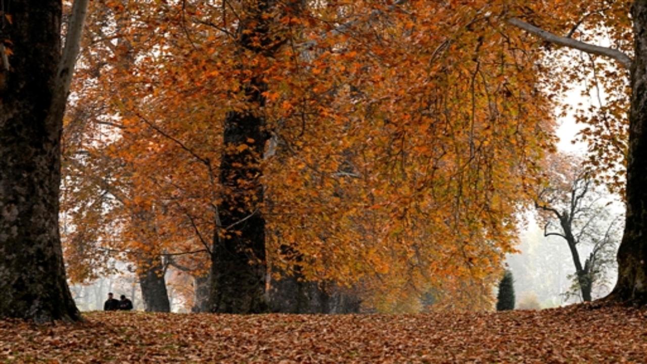 The cool, crisp air of autumn adds to the romantic atmosphere, inviting couples to share cozy moments against the breathtaking panorama