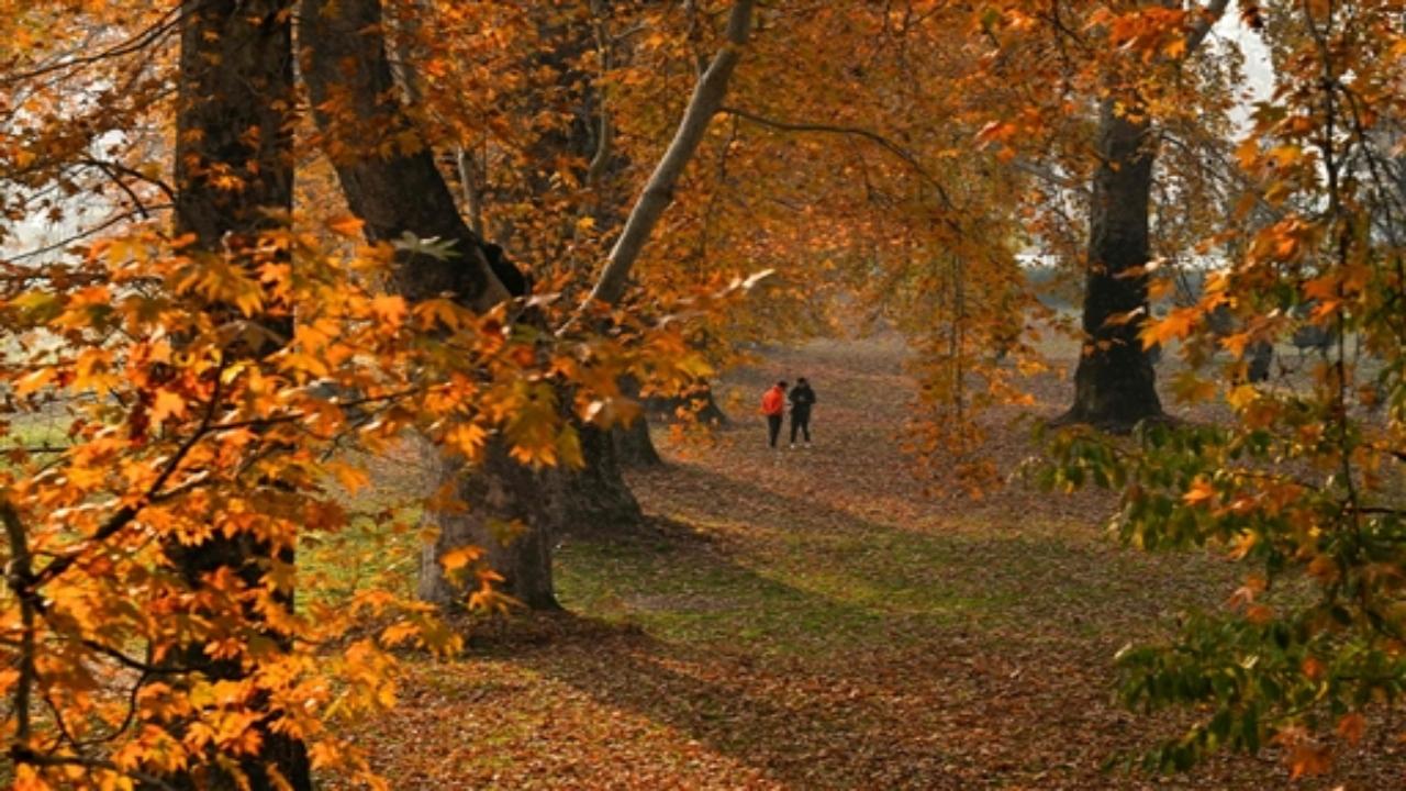 The iconic Shalimar Bagh and Nishat Bagh Mughal Gardens provide a dreamy setting for lovers to wander hand in hand, surrounded by the crunch of fallen leaves
