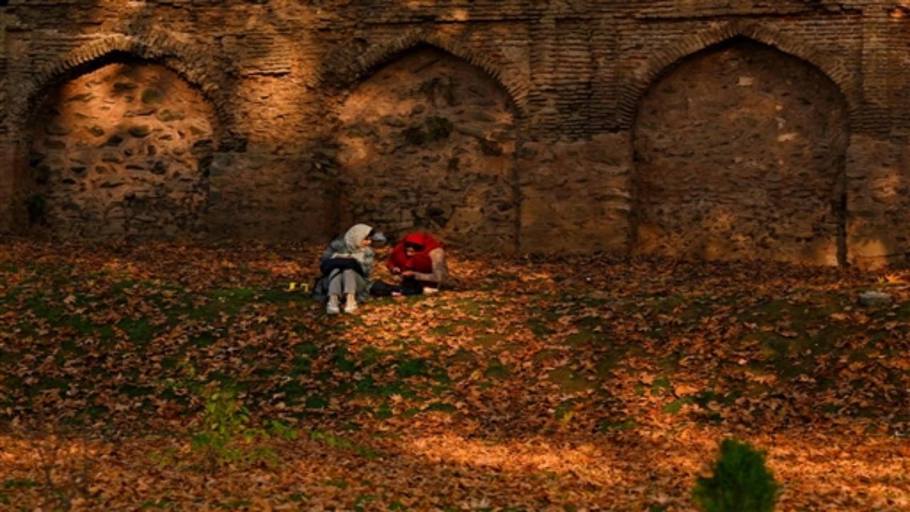 The crisp autumn air, coupled with the striking visuals, makes this season in Kashmir a unique and immersive experience