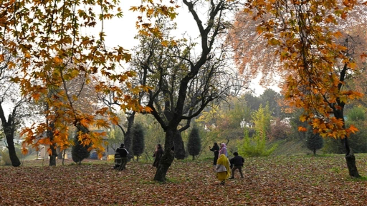 The blend of nature's beauty and the romantic allure of Kashmir in autumn makes it a coveted destination for couples looking to create lasting memories amid the stunning landscapes of this paradise on earth
