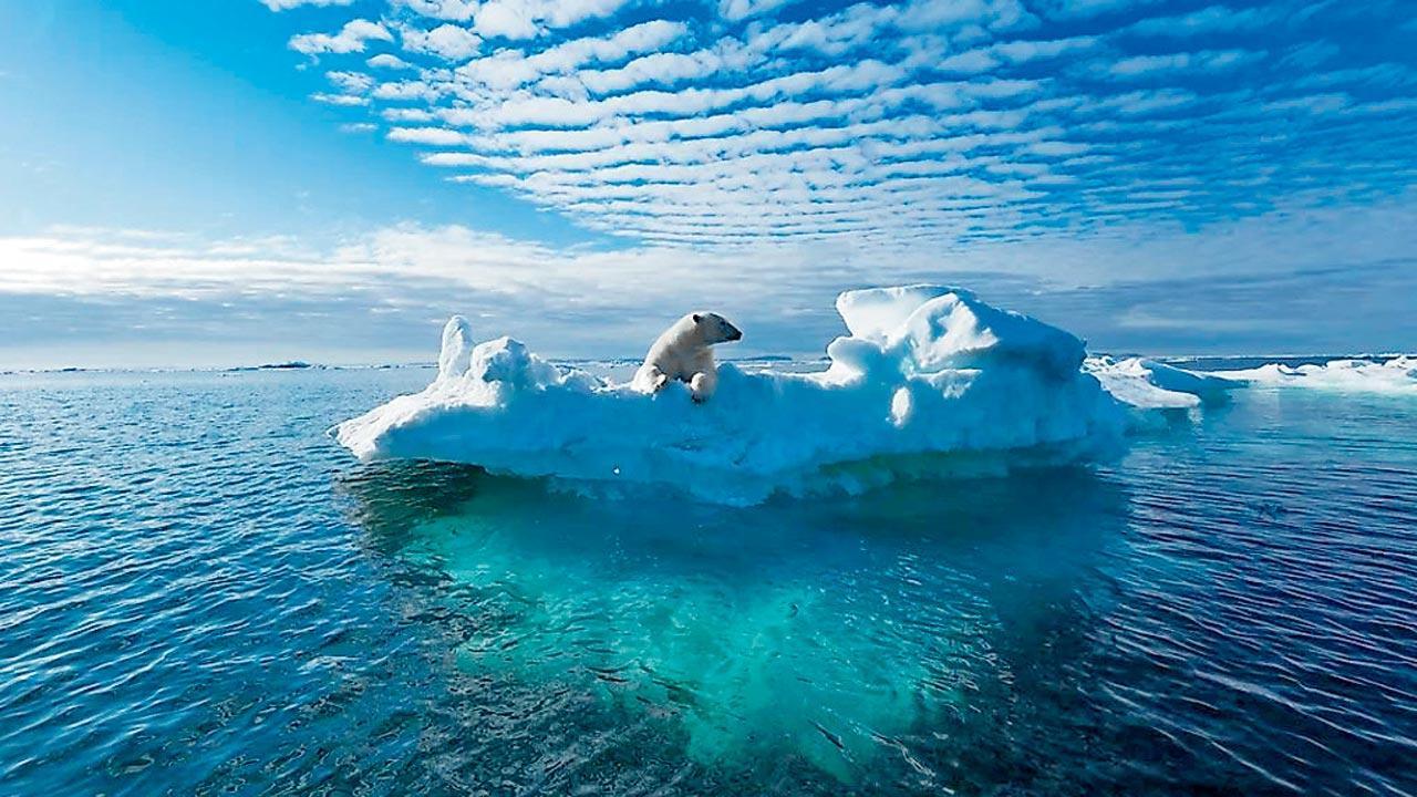 World will not survive if temperatures go over 1.5 degrees: Former Maldives prez