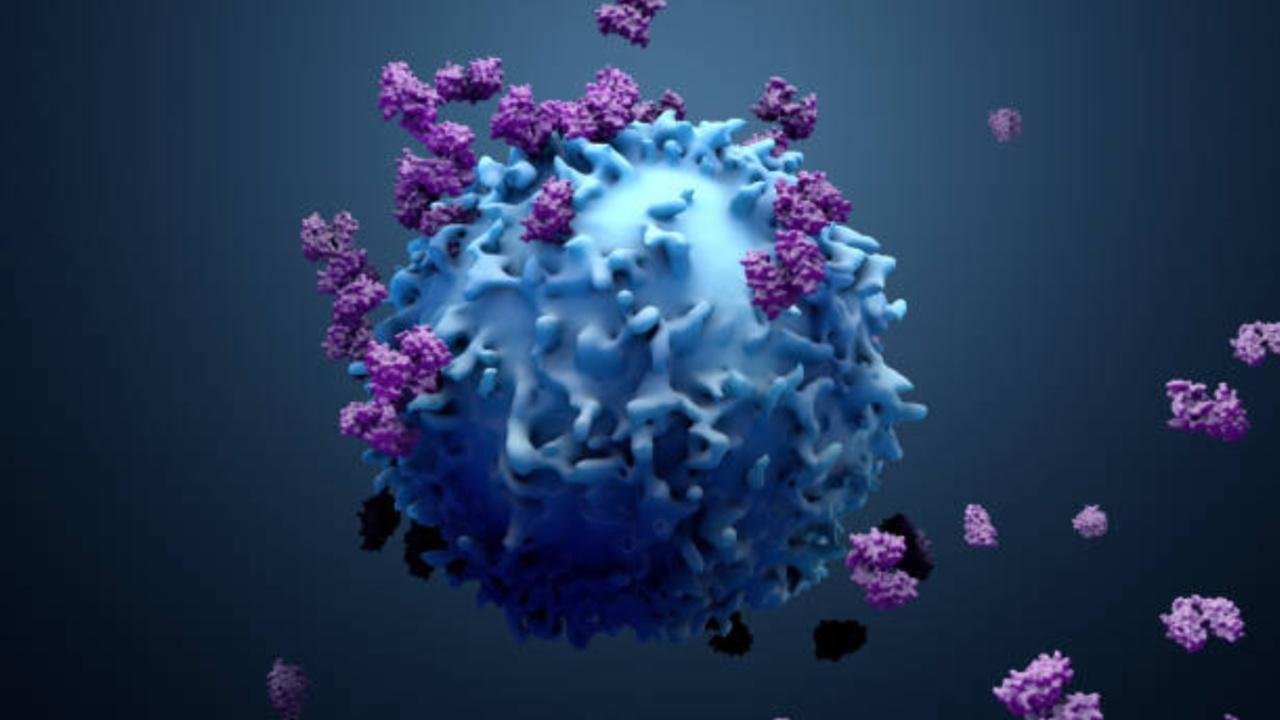 Common chemotherapy drugs may not work as thought: Study
