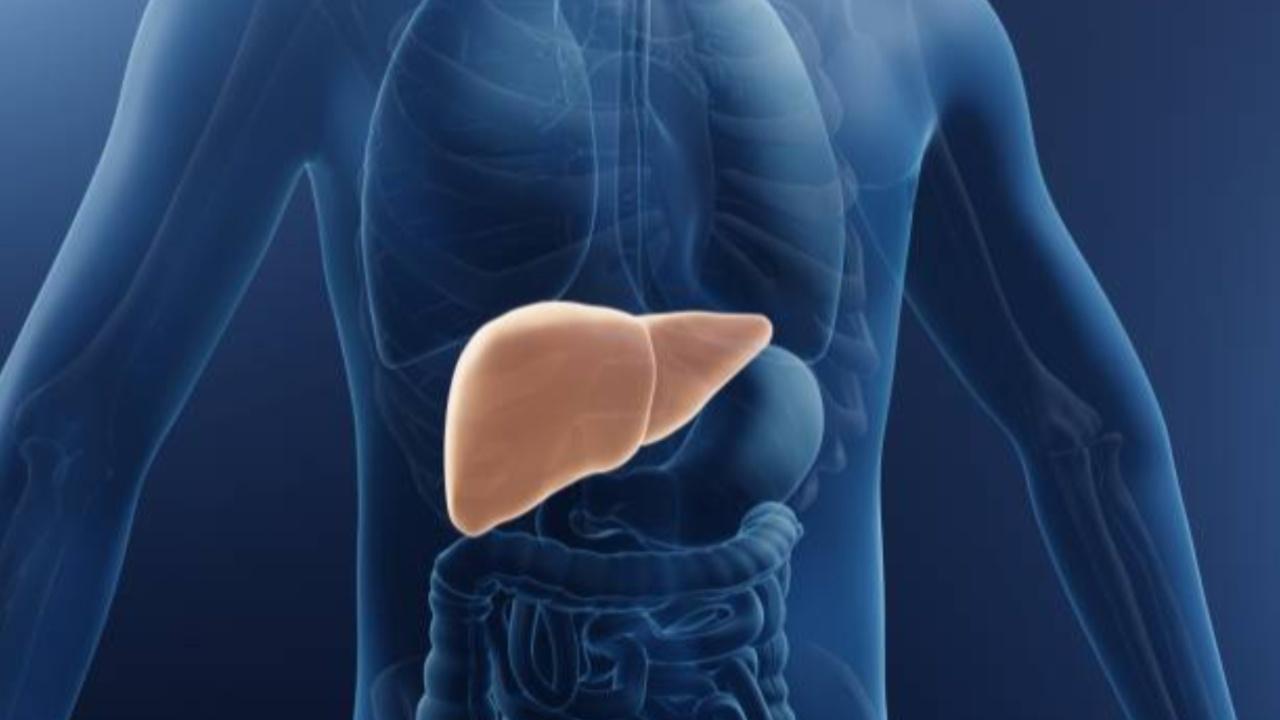 New cell therapy may help treat serious liver diseases: Study