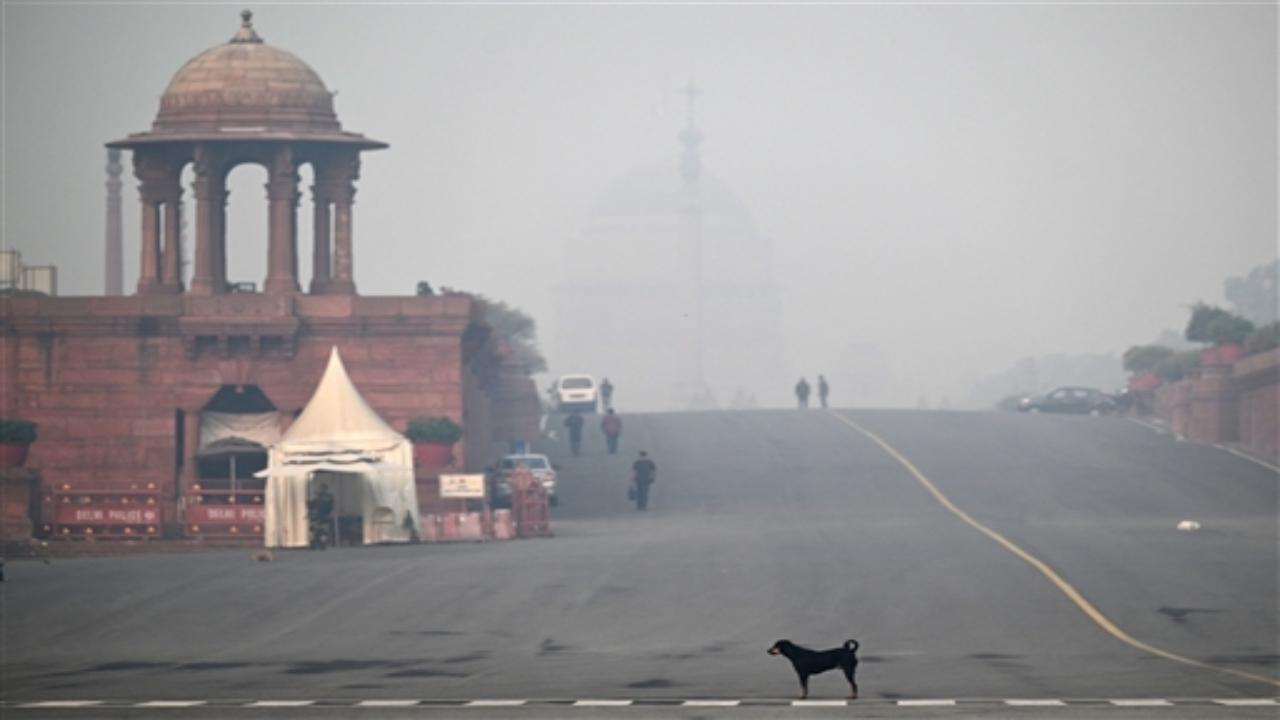 These measures constitute the final stage -- Stage IV -- of the Centre's air pollution control plan called the Graded Response Action Plan (GRAP).