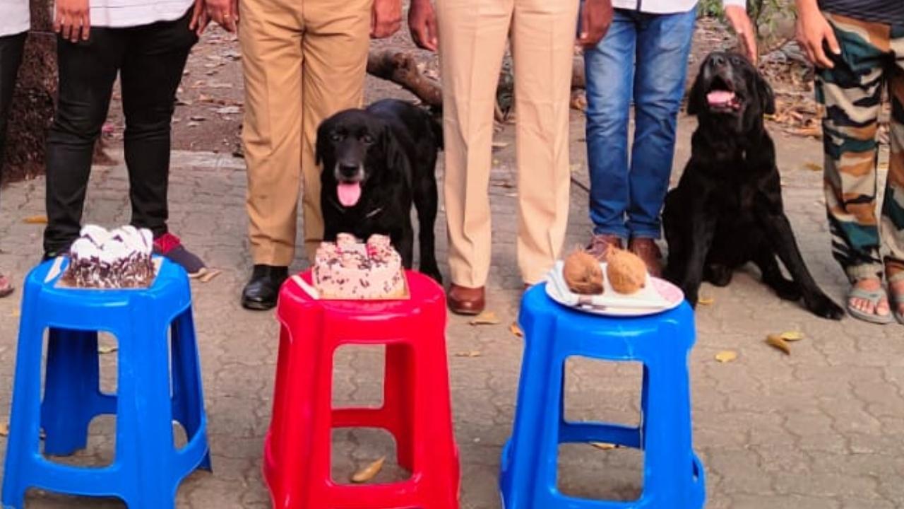 IN PHOTOS: Mumbai Police dogs Bruno and Tyson retire after 10 years of service