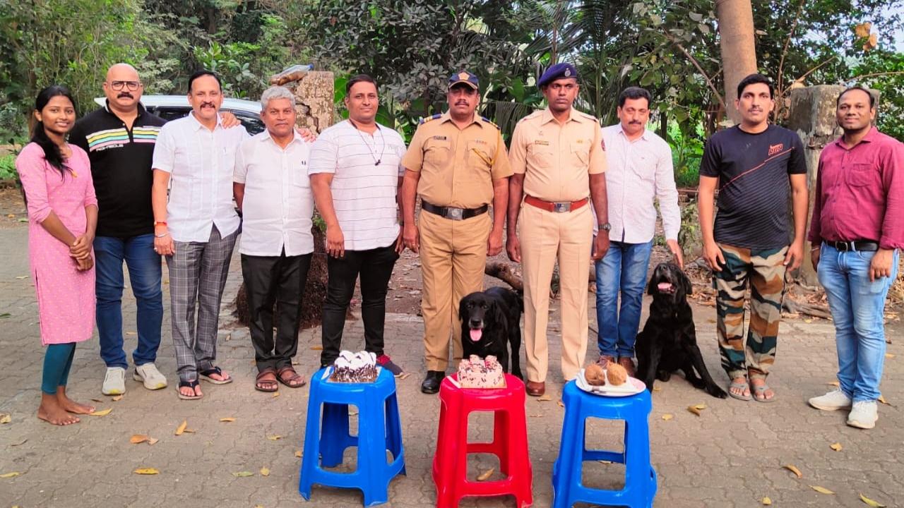 The dogs were most active in attending different calls including bomb scares and VVIP security checks, an official said 