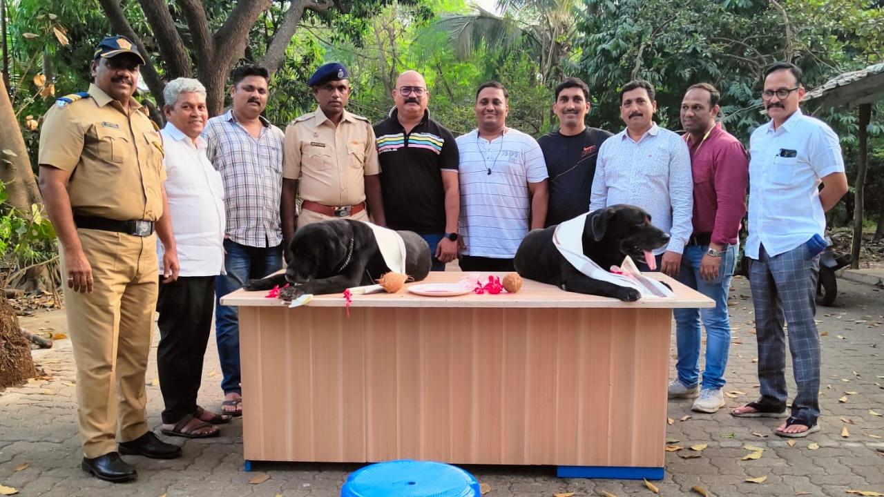 Both were brought by the police force when they were two months old, the official added