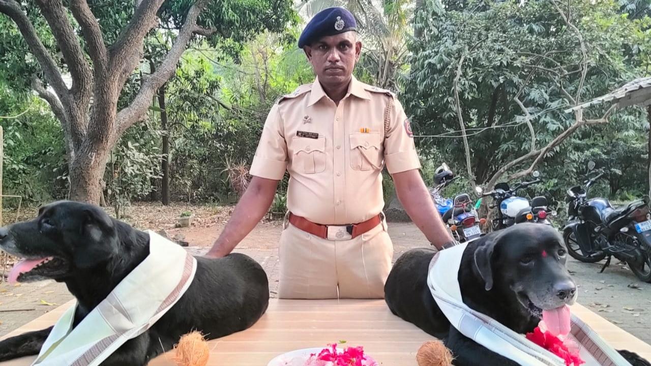 Tyson and Bruno retired from the Mumbai Police's dog squad department after 10 long years of service, an official said 