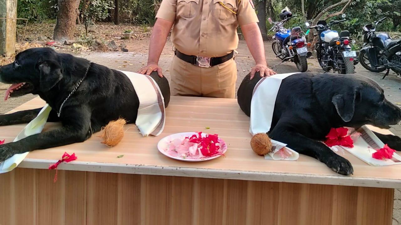 The response after their training was incredible and their activeness in tasks given to them during their duty hours was outstanding, sources added 