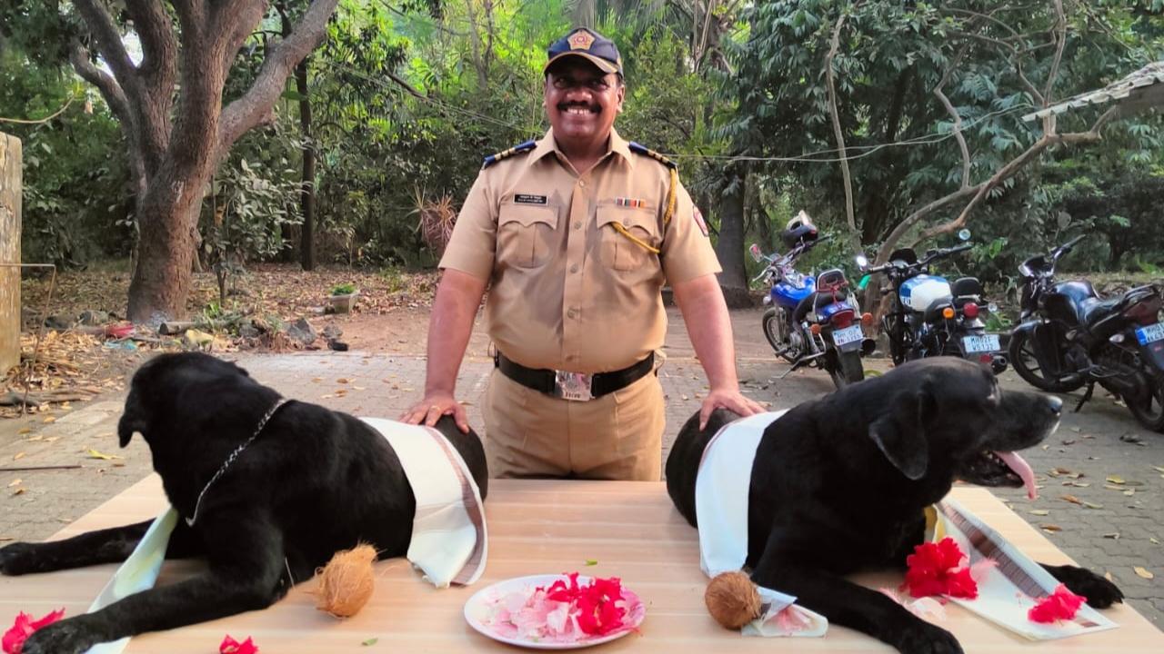 The Mumbai police dog squad department arranged for their farewell in the city on Sunday. The officials from the department said that both held a special place in the Maharashtra police department