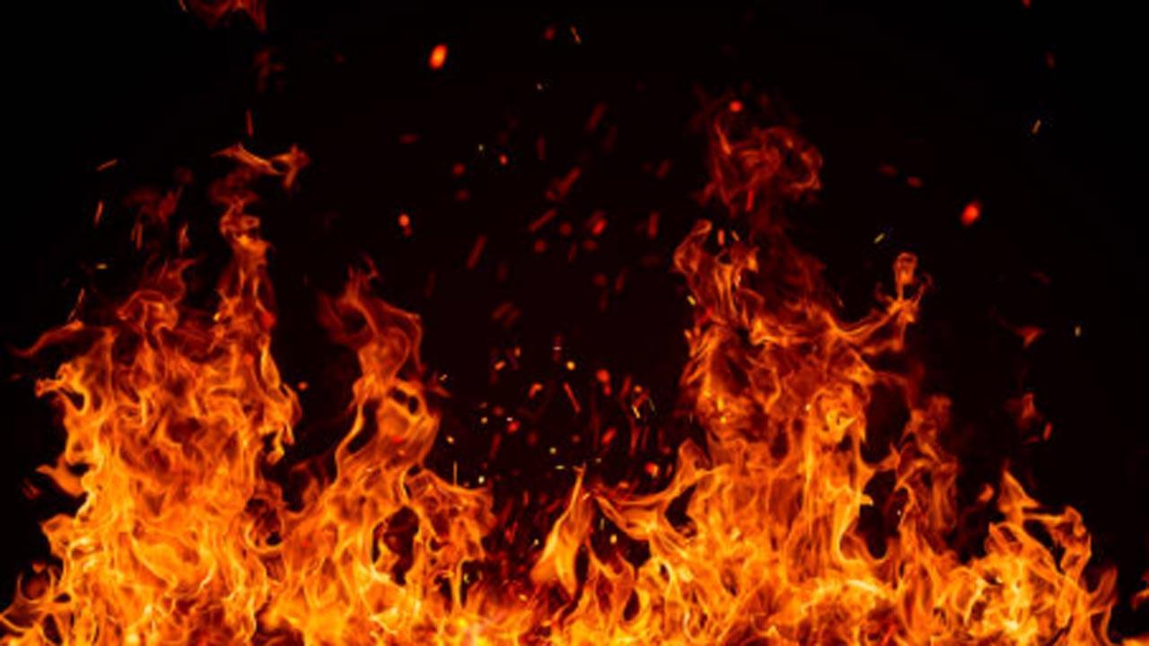 Andhra CM orders probe into Visakhapatnam fishing harbour fire incident
