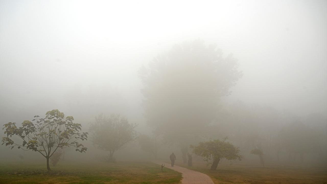 Jammu and Kashmir: Dense fog envelops Srinagar
