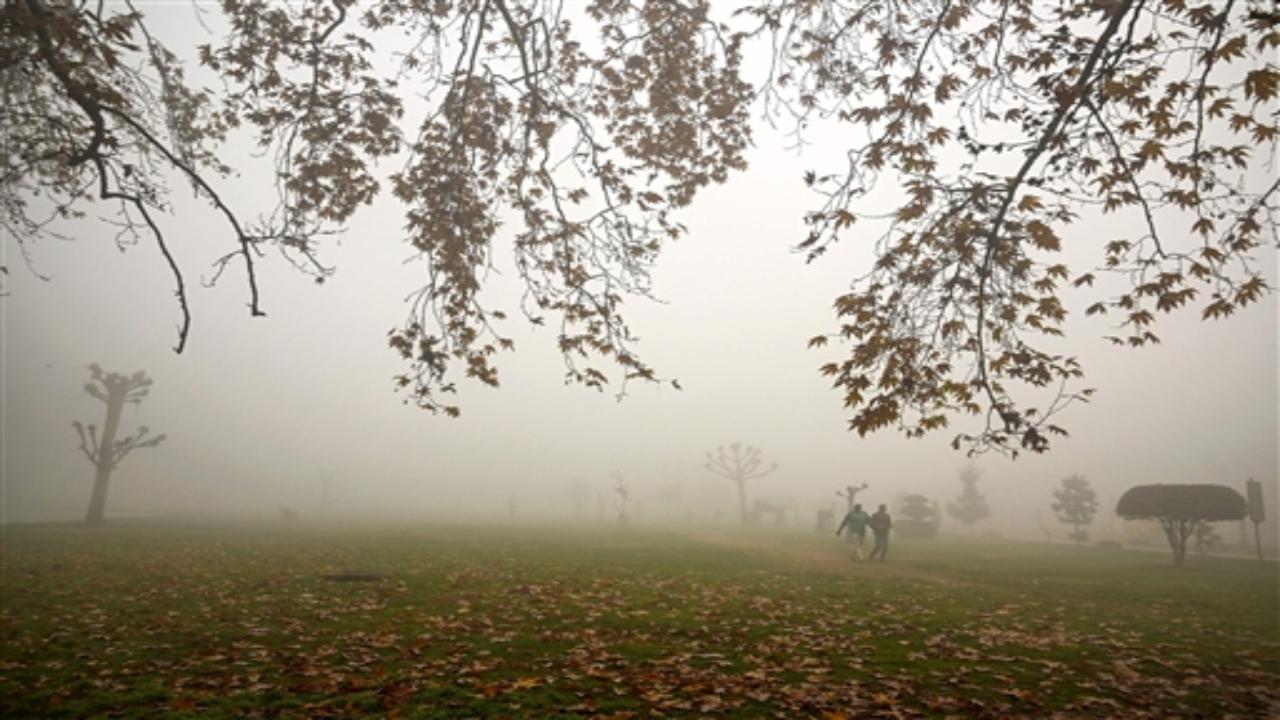 Fog is a weather condition in which very small drops of water come together to form a thick cloud close to the land or sea, making it difficult to see. Thick fog makes driving difficult, reducing visibility to few metres. 