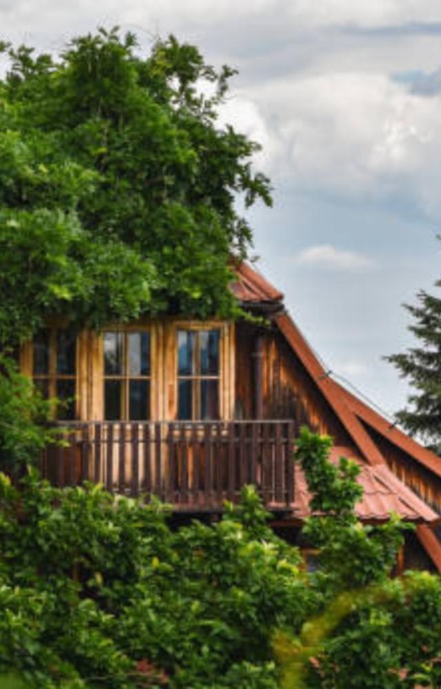 Forest cabins for nature`s retreat