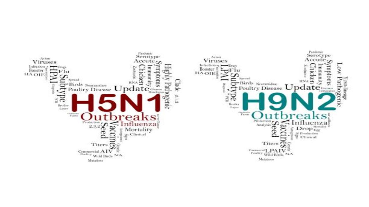 After the Union Health Ministry recently said that it is closely monitoring the reported outbreak of H9N2 cases and clusters of respiratory illness in children, Director of Lady Harding Hospital, Dr Subhash Giri reiterated to take precautions and said that H9N2 virus is spreading among children and it has connection with winter.
