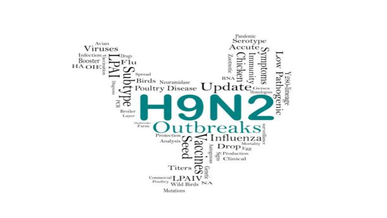 H9N2 has stirred quite a lot of news in China, especially where children are being admitted with pneumonia. The reason for the H9N2 infection in China is that there was a lockdown due to COVID over there and the lockdown was strictly being followed by the government and people had to follow all the instructions of the government.