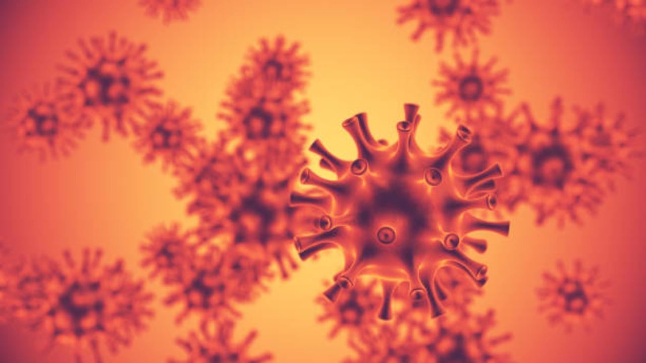 H9N2 is a serotype influenza virus. The influenza virus is a common virus that comes at the end of the season, especially when there is the onset of winter.