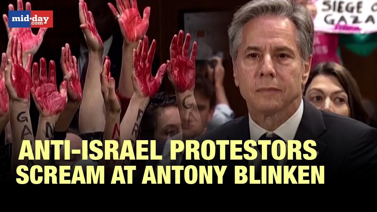 Israel-Hamas Conflict: Anti-Israel protestors scream at Antony Blinken 