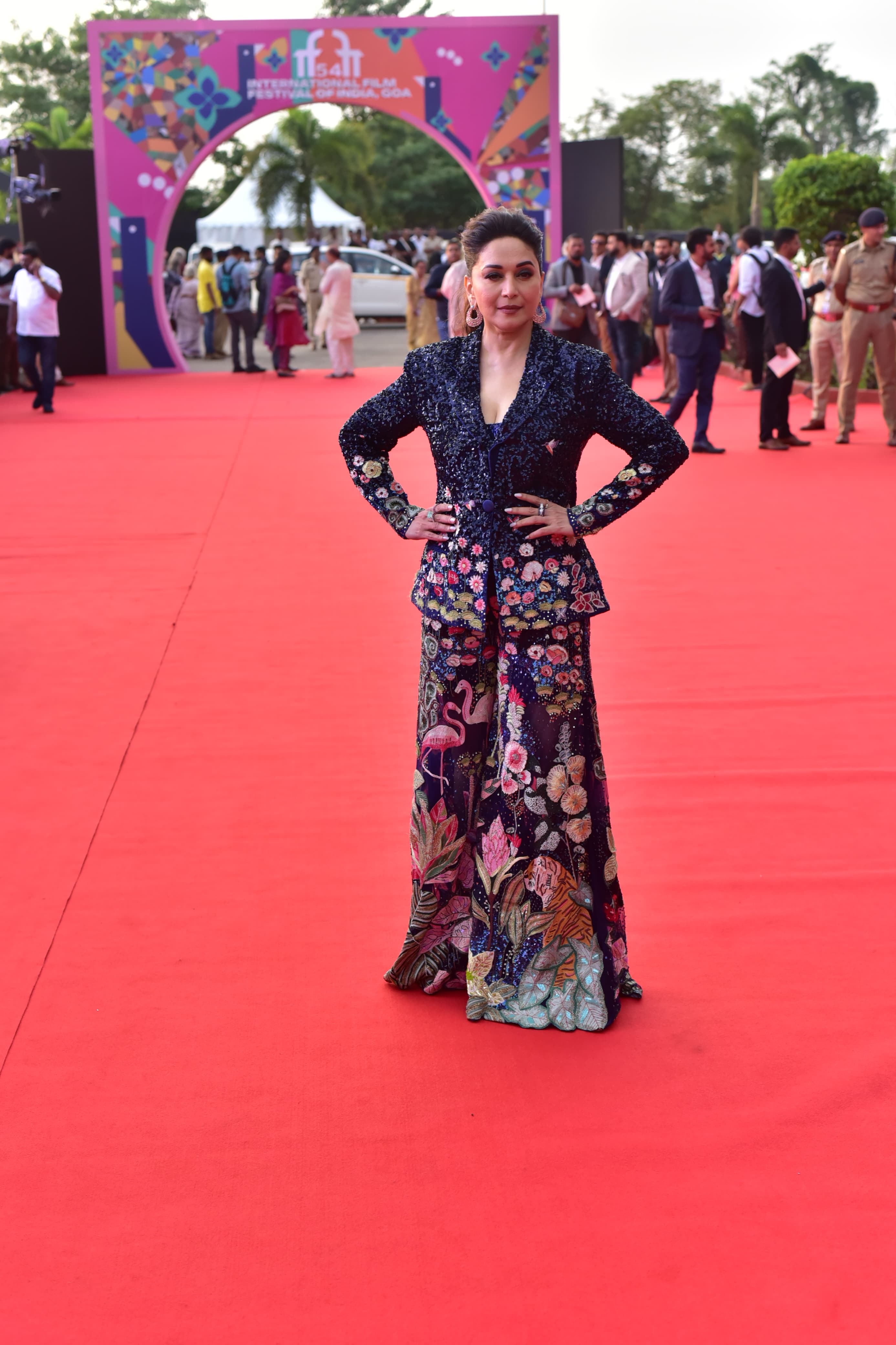Before being feted, Madhuri Dixit strutted down the red carpet looking like a dream