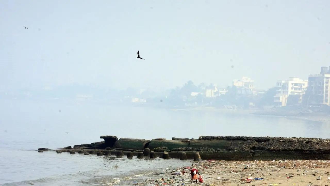 Mumbai: Air quality in 'moderate' category, AQI at 160