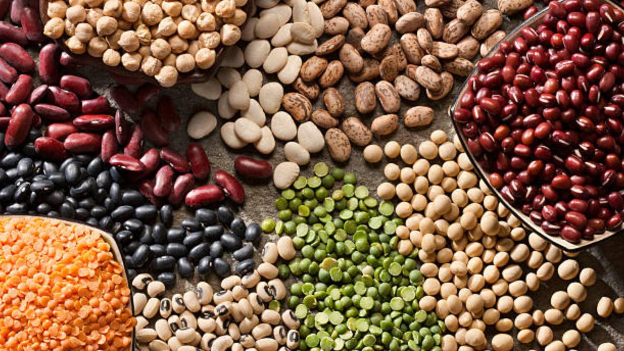 LegumesLegumes such as beans, lentils, and chickpeas are excellent sources of plant-based protein and fibre. They promote fullness and can replace higher-calorie animal proteins in your meals.