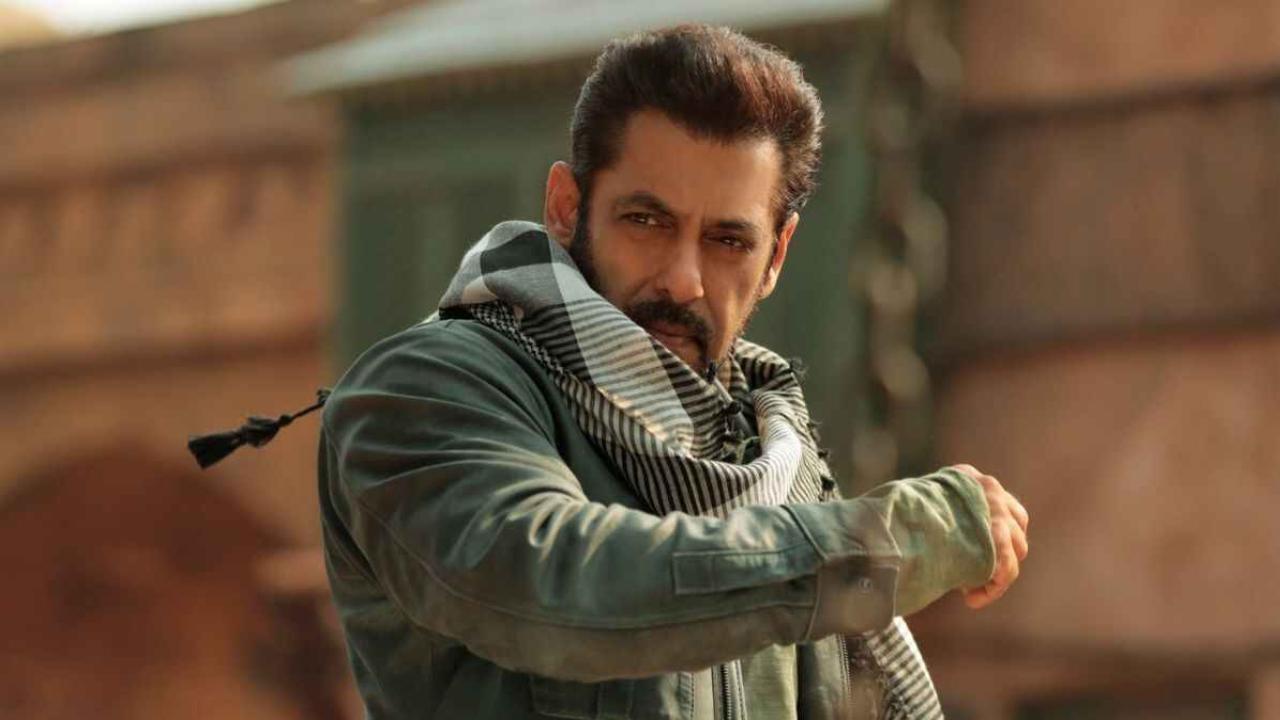 Tiger 3: Salman Khan, Katrina Kaif-starrer passed by CBFC with U/A certificate, 'foolish' replaced with 'busy' in subtitles