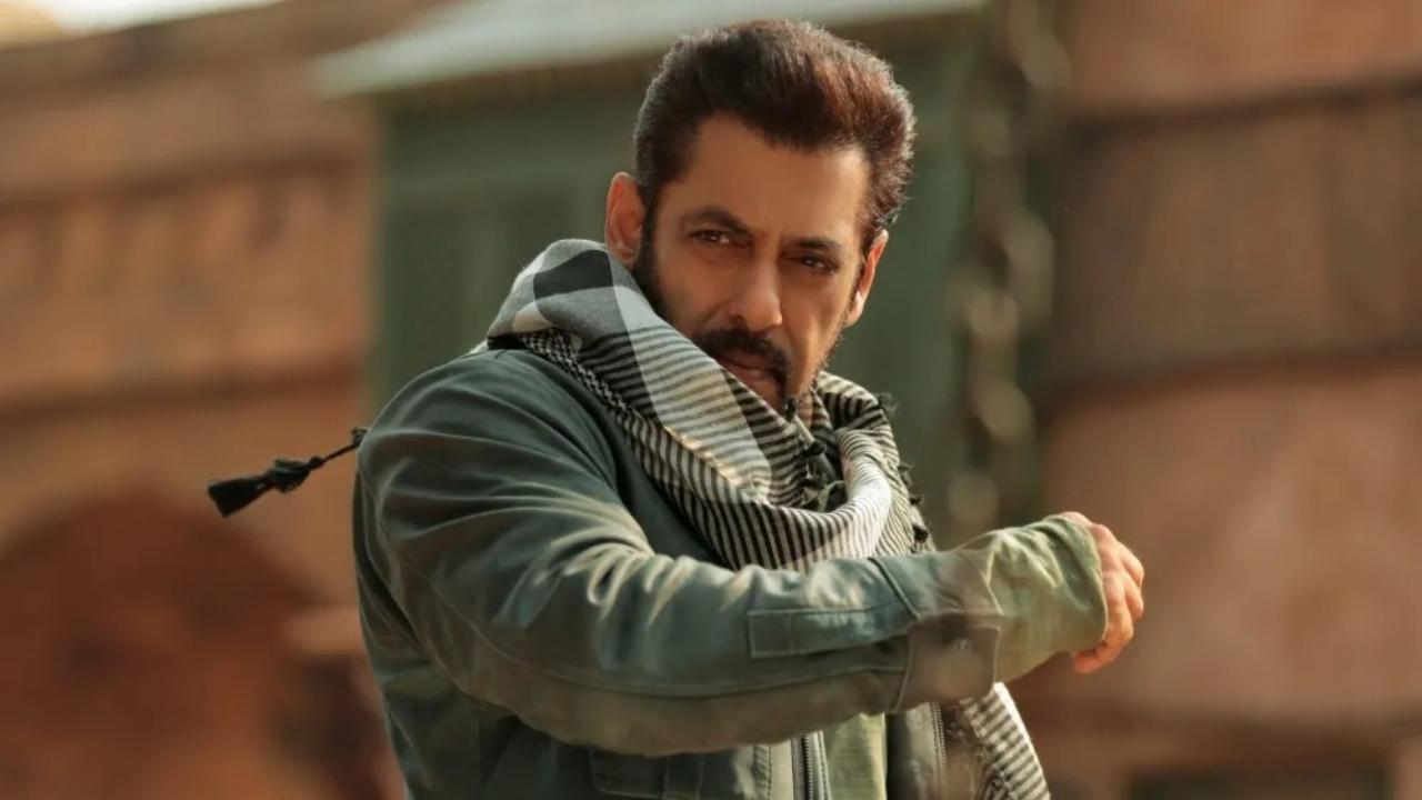 Salman Khan reacts to fans bursting crackers inside theatres during Tiger 3